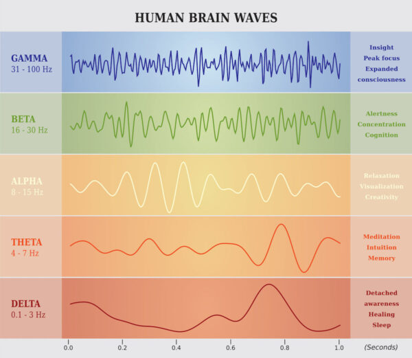 What Are Brainwaves And How Can You Alter Them? | St Louis Neurotherapy ...